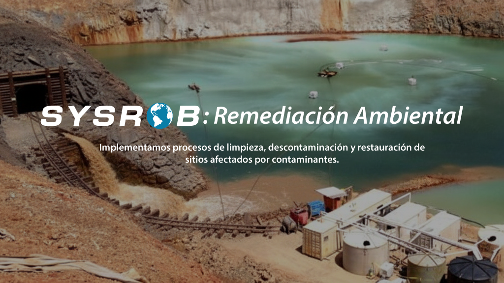 Remediacion Ambiental